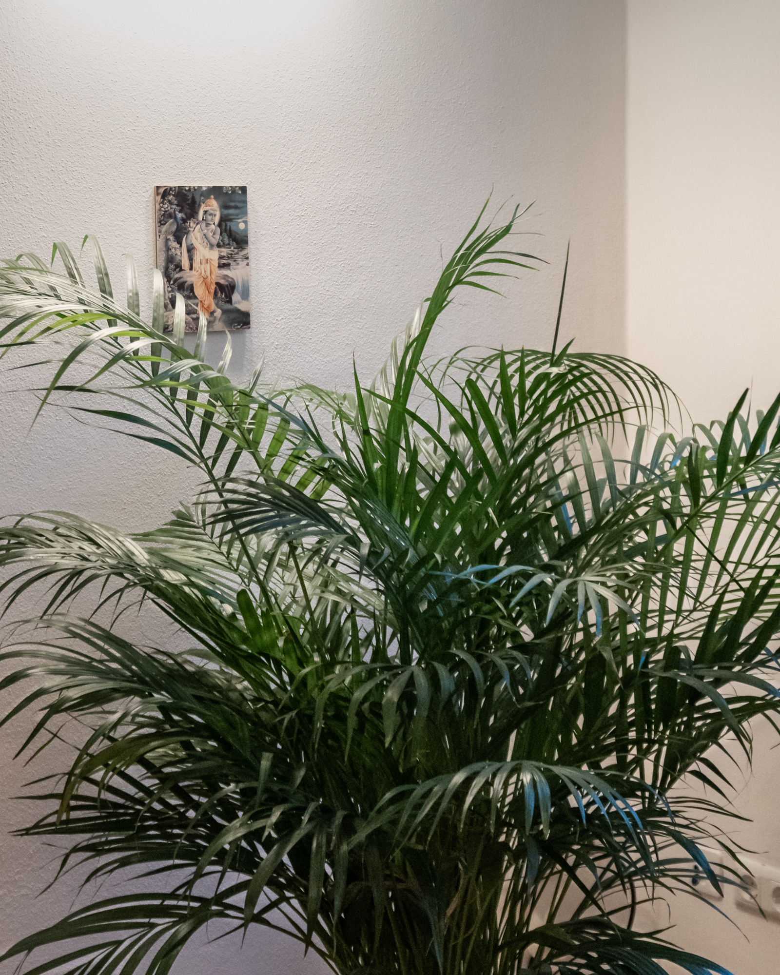 Praxisdetail – ruhige, hochwertige Umgebung