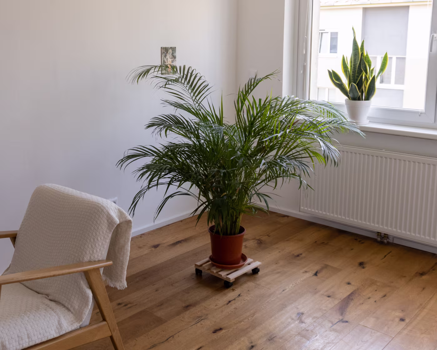 Praxisdetail – ruhige, hochwertige Umgebung