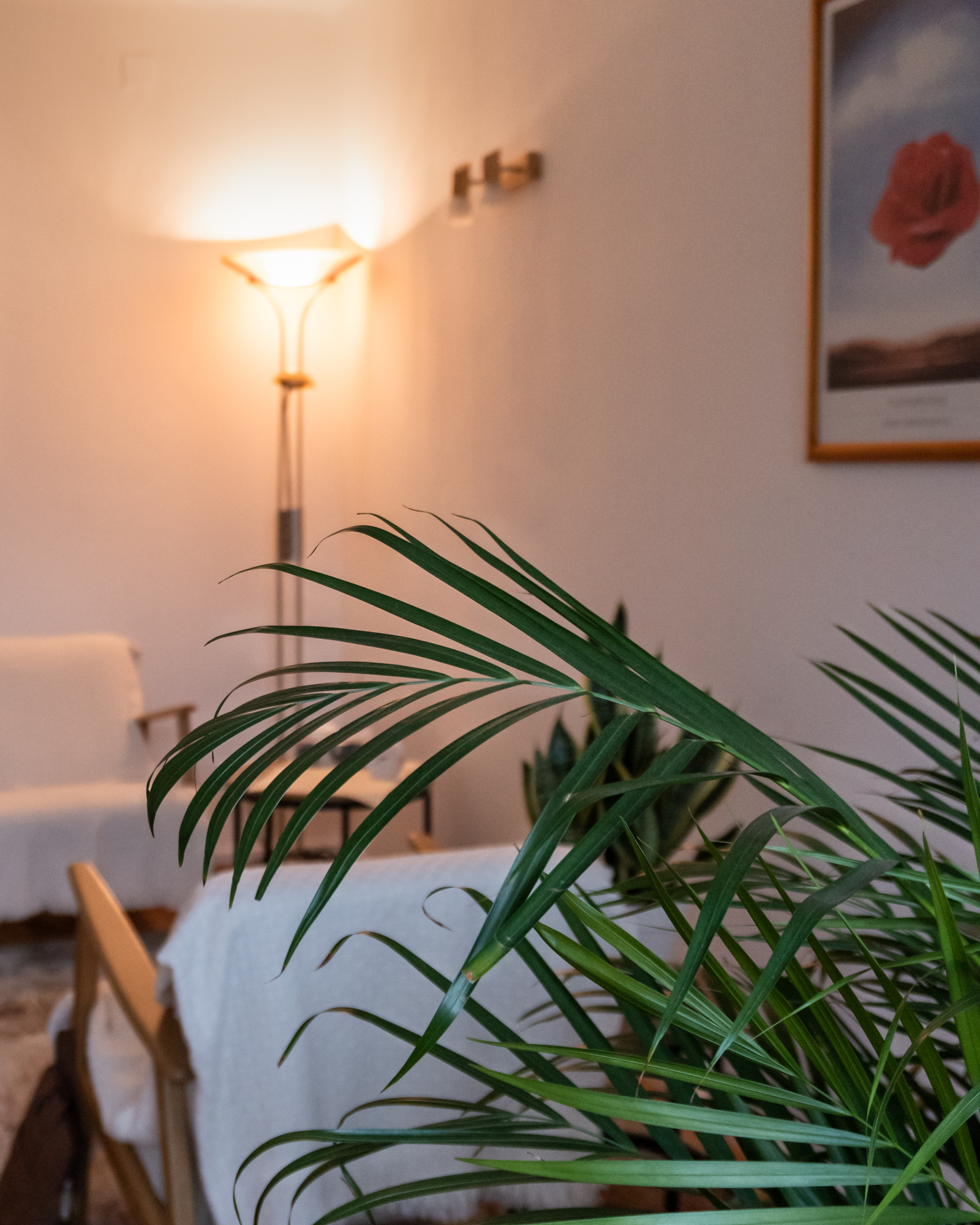 Praxisdetail – ruhige, hochwertige Umgebung